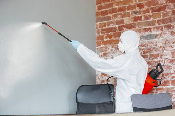 Best Water Damage & Mold Remediation  in Belvedere Park, GA