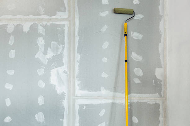 Professional Mold Removal in Belvedere Park, GA