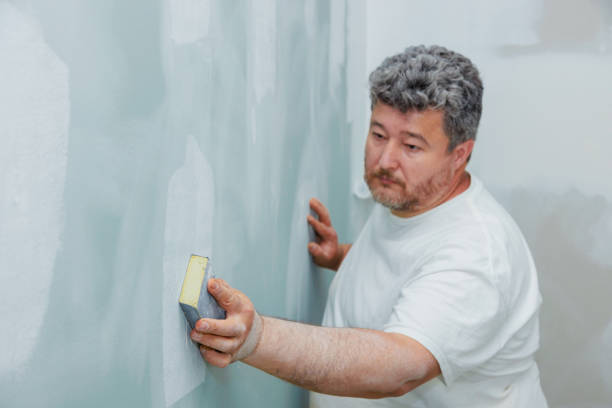 Best Mold Prevention Services  in Belvedere Park, GA