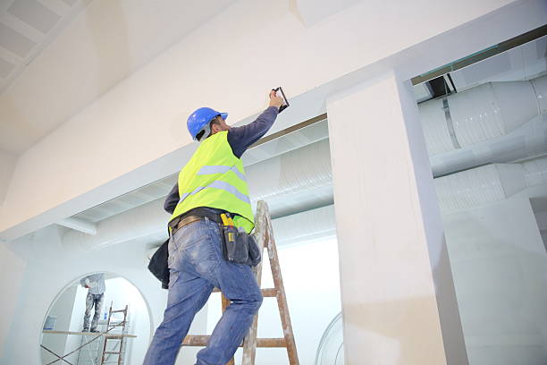 Best Real Estate Mold Inspection  in Belvedere Park, GA
